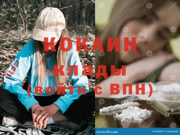 ECSTASY Алзамай
