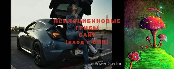 ECSTASY Алзамай